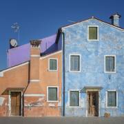 The small house color dog (Mathilde Guillemot) - Muzeo.com