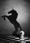 The soul of a mustang (Victoria Ivanova) - Muzeo.com