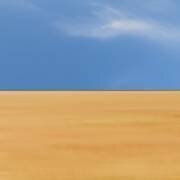 The summer we fell in love (Piet Flour) - Muzeo.com