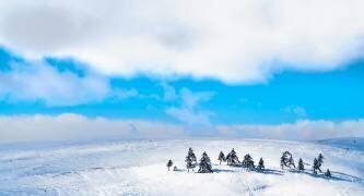 The winter light that shines on (Yuusuke Hisamitsu) - Muzeo.com