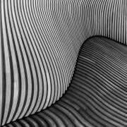 The wood project I - Tangled wood (Luc Vangindertael (laGrange)) - Muzeo.com