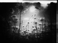 There is always a piece of sky (Delphine Margau) - Muzeo.com