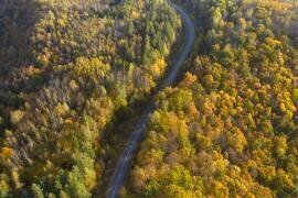 Through autumn (Dmitry Doronin) - Muzeo.com