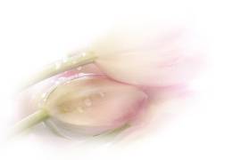Touching (Stefan Eisele) - Muzeo.com