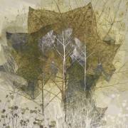 Transient (Nel Talen) - Muzeo.com