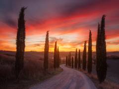 Tuscany sunset (Rostovskiy Anton) - Muzeo.com