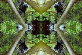 Unnatural 65 (Giovanni Cafagna) - Muzeo.com