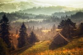 Untitled (Stanislav Hricko) - Muzeo.com