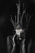 Untitled (Bogdan Bouşcă) - Muzeo.com