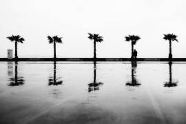 Untitled (Ali Ayer) - Muzeo.com