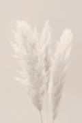 Untitled (1x Studio III) - Muzeo.com