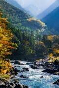 Upstream of the Tama River (Yuusuke Hisamitsu) - Muzeo.com