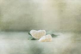 Vintage tangerine (Delphine Devos) - Muzeo.com