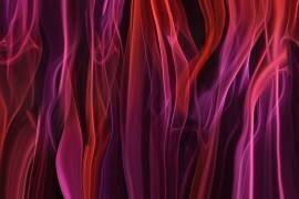 Volatile curtains (Heidi Westum) - Muzeo.com
