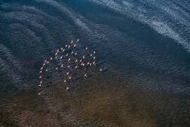 Wave Runner (John Fan) - Muzeo.com