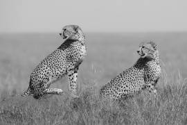 What's going on here around ? (Marco Pozzi) - Muzeo.com