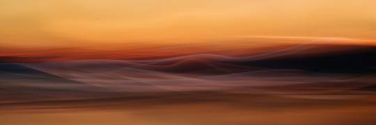 Where nothing grows (Heidi Westum) - Muzeo.com