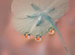 Whisper under flower (Gu and Hongchao) - Muzeo.com