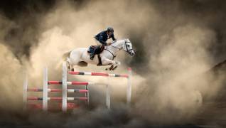 White horse (Arif Ünsal) - Muzeo.com