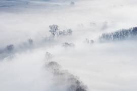 Winter (Marco Galimberti) - Muzeo.com