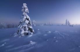 Winter is back (Fabian Muller) - Muzeo.com