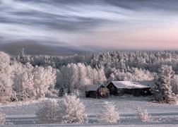 Winter morning (Bjorn Emanuelson) - Muzeo.com