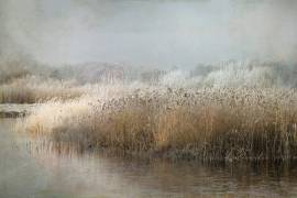 Wintermorning (Nel Talen) - Muzeo.com