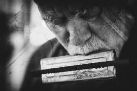 Wolf with harmonica (Roswitha Schleicher-Schwarz) - Muzeo.com