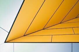 Yellow dart (Linda Wride) - Muzeo.com
