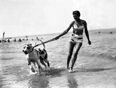 Countess de Bremond d'Ars with her dogs (Keystone) - Muzeo.com
