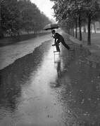 FLOODED MALL (H. F. Davis) - Muzeo.com