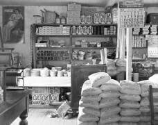 Magasin d'alimentation générale (Walker Evans) - Muzeo.com
