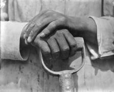 Mains d'un ouvrier, Mexico (Tina Modotti) - Muzeo.com