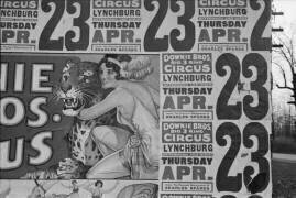 Posters covering a building near Lynchburg to advertise a Downie Bros. circus (Walker Evans) - Muzeo.com