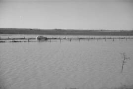 Untitled photo, possibly related to: The Bessie Levee augmented with sand bags during the 1937 flood near Tiptonville, Tennessee (Walker Evans) - Muzeo.com