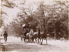Attelage à quatre chevaux et un cycliste au bois de Boulogne (Henri Lemoine) - Muzeo.com