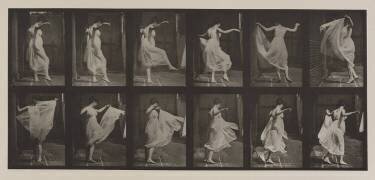Animal Locomotion : Danse (fantaisie) (Eadweard Muybridge) - Muzeo.com