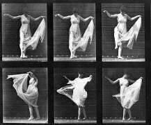 Animal Locomotion : Danseuse (Eadweard Muybridge) - Muzeo.com