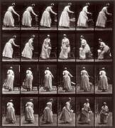 Animal Locomotion : Séquence avec une femme assise (Eadweard Muybridge) - Muzeo.com