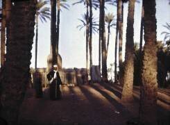 Egypt (Helen Messinger Murdoch) - Muzeo.com