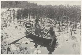 Gathering Water Lilies (Peter Henry Emerson) - Muzeo.com