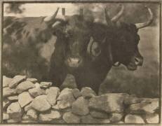 My Neighbors (Gertrude Käsebier) - Muzeo.com