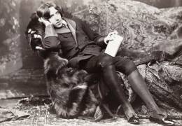 Oscar Wilde (Napoléon Sarony) - Muzeo.com
