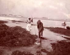 Des touristes pêchant la crevette dans les années 1890 (anonyme) - Muzeo.com