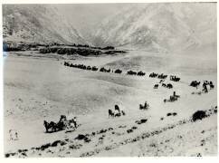 Pionniers conduisant des immigrés vers la ville Mormone de Salt Lake City (William Henry Jackson) - Muzeo.com