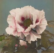 Pivoine Arbustive (Ogawa Kazumasa) - Muzeo.com