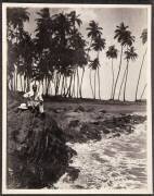 Plage de Cayenne (anonyme) - Muzeo.com