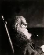 Portrait de Walt Whitman (Thomas Eakins) - Muzeo.com