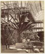 Crystal Palace : Nef près de la jonction du transept Nord, vers le Nord (Henry Negretti) - Muzeo.com