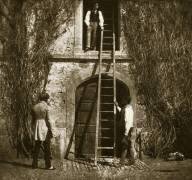 L'échelle (William Henry Fox Talbot) - Muzeo.com